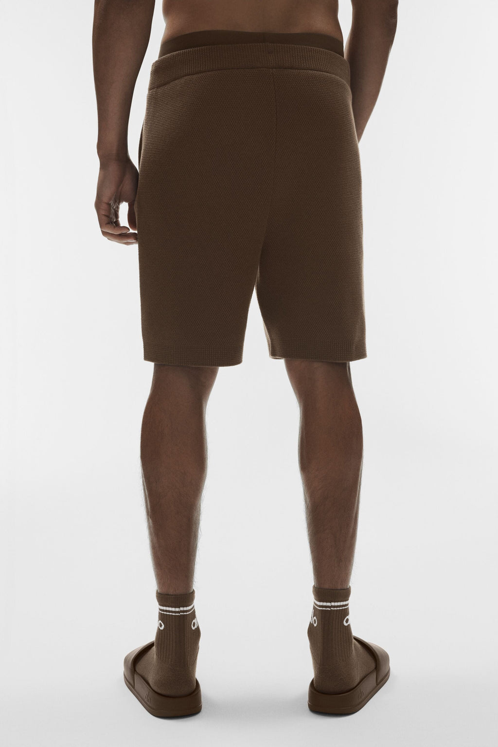 7 Sports Club Sweater Knit Short - Espresso